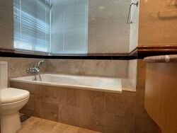 Melrose Park (D10), Condominium #413449361